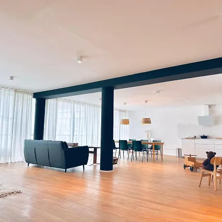 Lofts V26 Appartement *